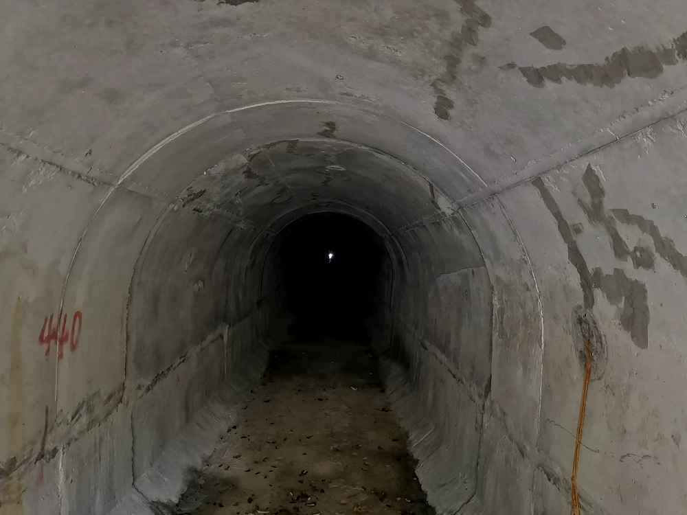 1764726276134074.png 圖片5.png